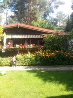 Haus im Grünen Altersruhesitz in der Heide Niedersachsen - Salzgitter Vorschau