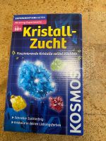 Kosmos Kristall-Zucht Bayern - Ainring Vorschau