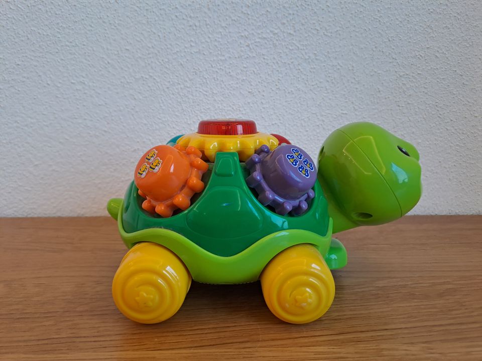 Musikspielzeug Schildkröte in Elsenfeld