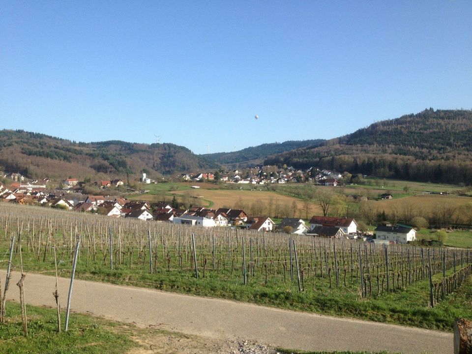 Garten , Freizeitgrundstück gesucht (Rund um Diersburg) in Hohberg