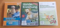 3 DVDs zu Hunde Erziehung, Beschäftigung Rheinland-Pfalz - Bingen Vorschau