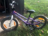 Spezialized Kinderfahrrad 16 Zoll Bayern - Pöcking Vorschau