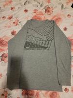 Junge Pulli Puma Hessen - Wiesbaden Vorschau
