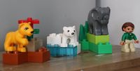 Lego Duplo 4962 Baby Zoo - ohne Giraffe, gebraucht, gut erhalten Niedersachsen - Achim Vorschau