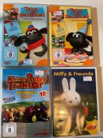 DVD Timmy das Schäfchen Miffy Hessen - Taunusstein Vorschau