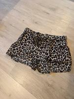 Sommer Short Shorts Kurz Hose Hosen Leo Animal Print Xs Brandenburg - Zossen-Wünsdorf Vorschau