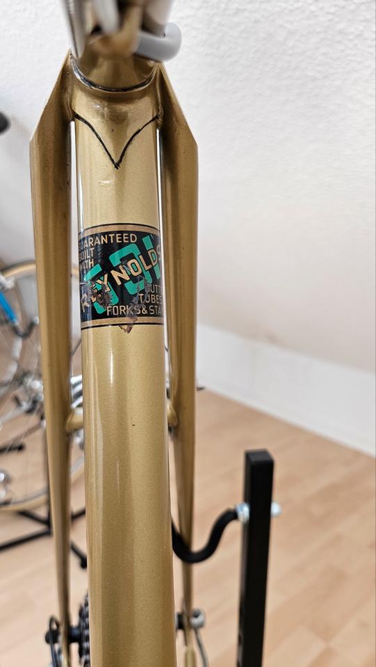 Rennrad, Cycle Hartman, Eroica, RH61, Campagnolo, viele Neuteile in Hagen
