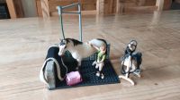 Schleich Horse Club Waschplatz 42104 Nordrhein-Westfalen - Rees Vorschau