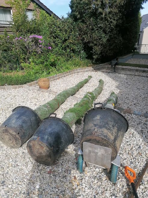 Gartenarbeit Baumfällung Baumpflege Gartengestaltung Rodungen Heckenschnitt Rückschnitt Wurzelfräsen Gärtner  Baggerarbeiten Sturmschaden in Stolberg (Rhld)