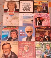 Schallplatten 12 Stück  Schlager aus den 70er und 80er Bayern - Hebertsfelden Vorschau