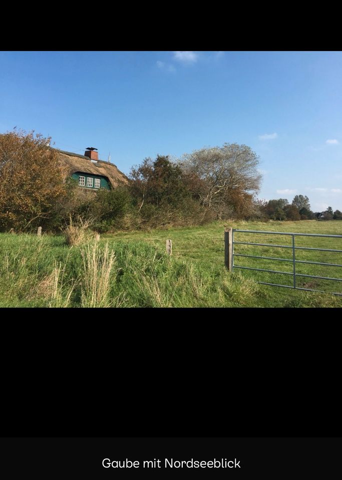 Schönes Reetdach-Friesenhaus m. Nordseeblick -Sanierungsobjekt!!! in Schobüll