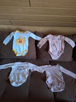 Baby Bodys Set Gr.62-68/ 3-6 Monate Rheinland-Pfalz - Rennerod Vorschau