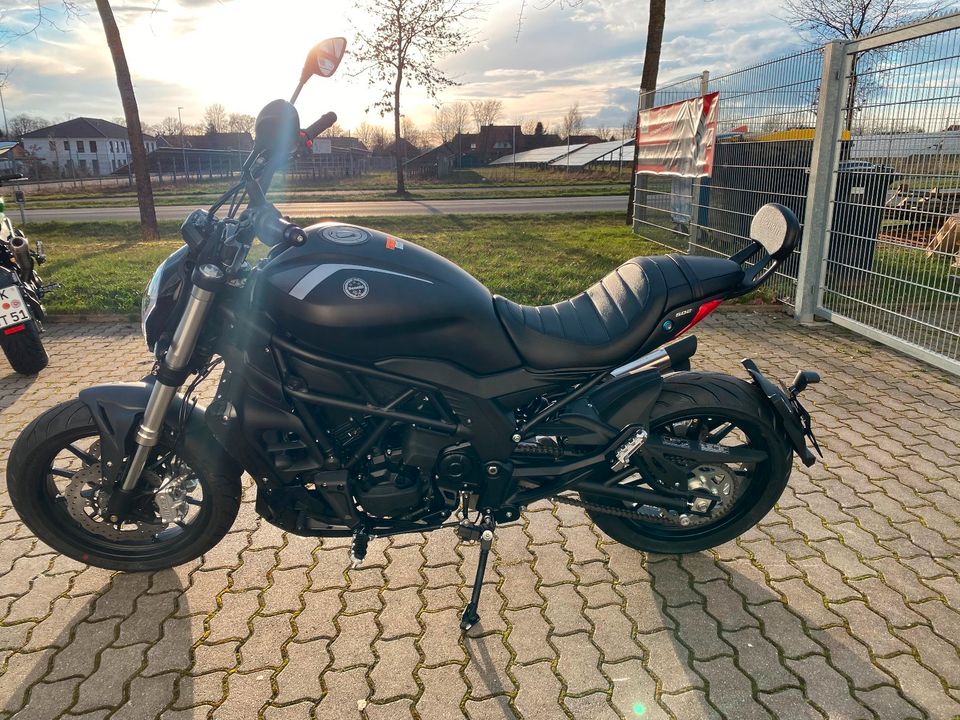 Benelli Cruiser 502 C E5 ABS | A2 | auf Lager in Walsrode