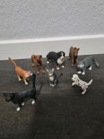 Schleich Sammlung Bielefeld - Schildesche Vorschau