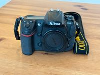 Nikon D300 Köln - Riehl Vorschau