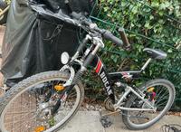 Kinderrad 24 Kreis Ostholstein - Grömitz Vorschau