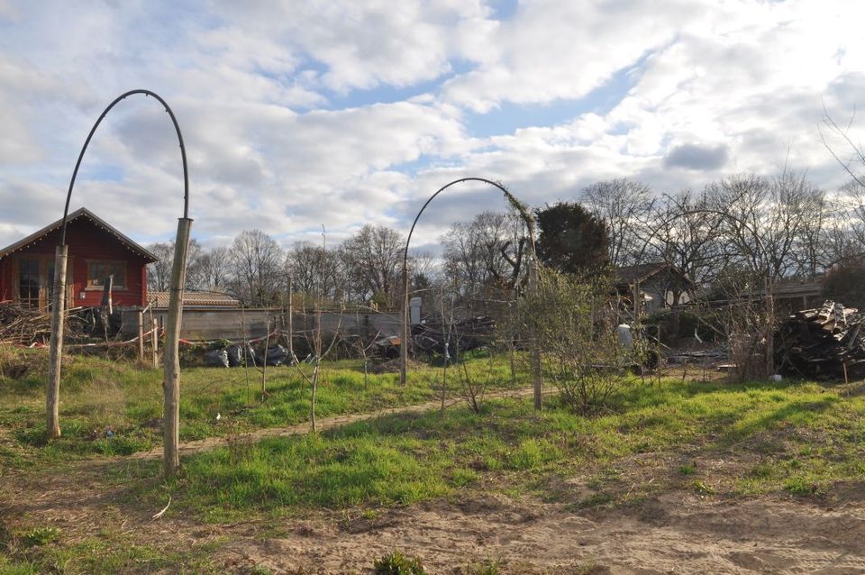 Obstbogen - Einzelstück in Kleingartengröße in Berlin