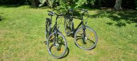 2x Fahrrad Pegasus Piazza Brandenburg - Chorin Vorschau