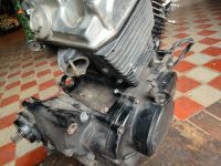 Honda VT 500C PC08 und VT 500E PC 11 Motor Engine Niedersachsen - Westoverledingen Vorschau