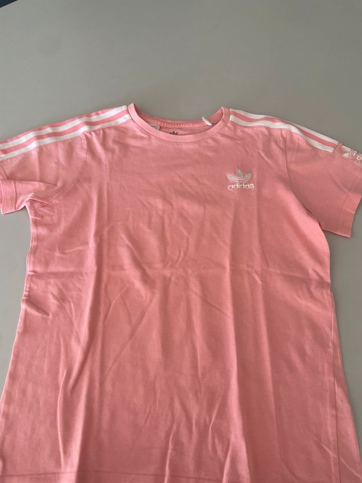 Tshirt von Adidas Größe 152 rosa in Neukirch