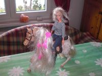 Barbie Pferd mit Barbie Reiterin - 2 mal Hessen - Michelstadt Vorschau