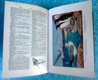 6 Bände Gutenberg-Konversations-Lexikon von 1931 Bayern - Simbach Vorschau