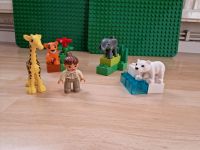 Lego Duplo Zoo Tierbabys Hannover - Mitte Vorschau