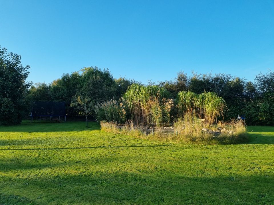 Ferienwohnung in Schalkholz zwischen Nordsee, Ostsee und Kanal in Schalkholz