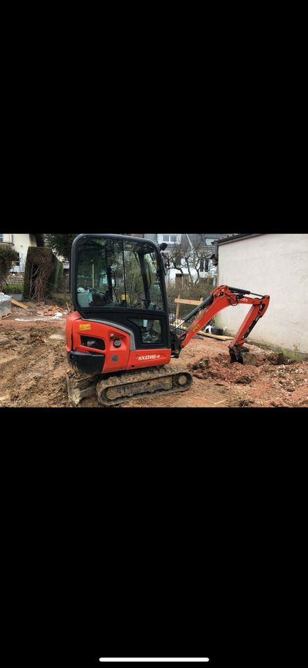 Minibagger zu Vermieten Mieten Kubota Baggerarbeiten Beste Preis! in Bad Homburg