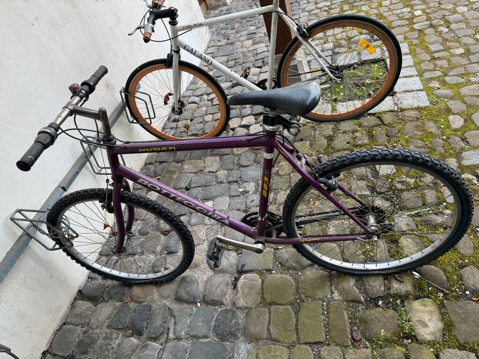 Fahrrad Bottecchia in Lindau