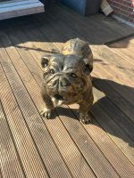 englische Bulldogge Hund Statur stehend bronze Patina 93 cm Schleswig-Holstein - Sommerland Vorschau