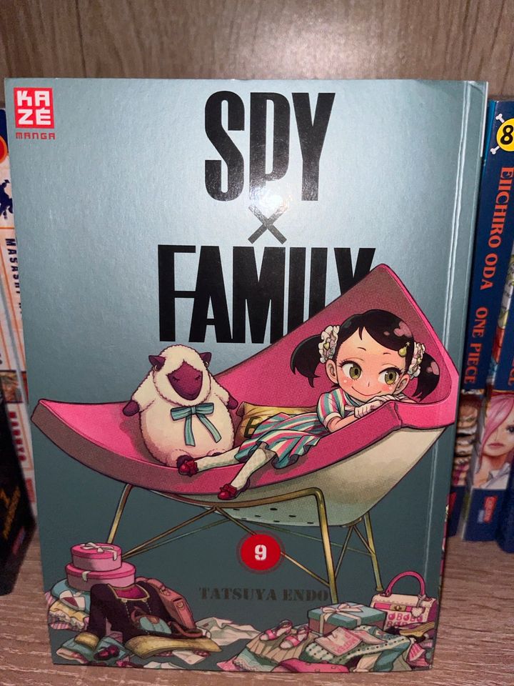 Manga’s von One Piece, Naruto, Dragonball, Spy X Family in Duderstadt