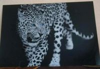 Glasbild mit Leopard Brandenburg - Zossen Vorschau