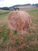 Heu Rundballen 1,6 m Rinder Ziegen Schafe Rheinland-Pfalz - Hundsbach Vorschau