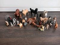 Schleich, Safari, Tiere, Pferde, Hunde, Hasen etc. Herzogtum Lauenburg - Wentorf Vorschau