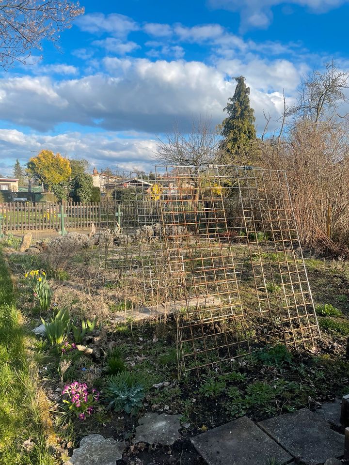 Garten Pachtgarten Försterklause Dessau Siedlung Kleingarten in Dessau-Roßlau