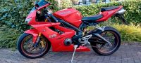 Triumph 675 Daytona Nordrhein-Westfalen - Castrop-Rauxel Vorschau