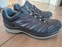 Wanderschuhe Lowa Ferrox GTX Ws Gr. 40 Niedersachsen - Emlichheim Vorschau