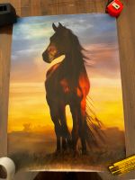 50x70 Pferde Poster Dithmarschen - Brunsbuettel Vorschau