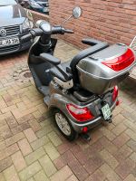 E-Scooter Dreirad  Nova Bendi Nordrhein-Westfalen - Senden Vorschau
