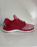 Jordan Trainer ST Herren Sportschuhe Gr 42 Bayern - Augsburg Vorschau