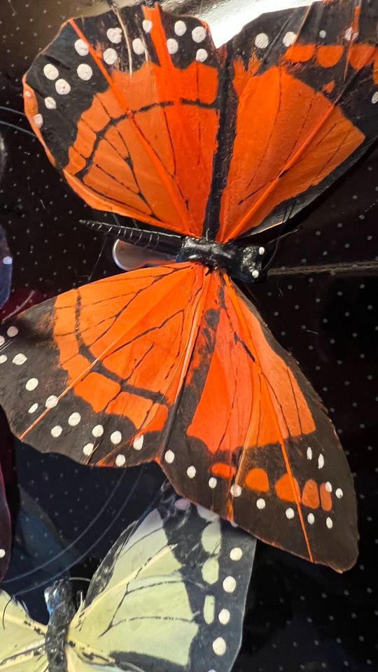 Schmetterlinge mit Metallclip Neu Aus Federn in Wolfsburg