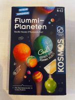 Kosmos Flummis herstellen - Flummi Planeten Niedersachsen - Winsen (Luhe) Vorschau