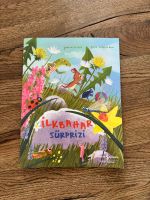 İlkbahar süprizi Buch Kinder Türkisch neu Niedersachsen - Wolfenbüttel Vorschau