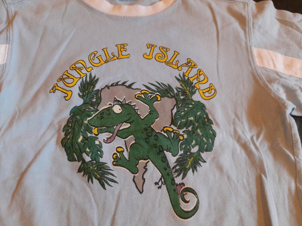 hellblaues T-Shirt mit lustigem Gecko Gr. 104 von Palomino in Berlin