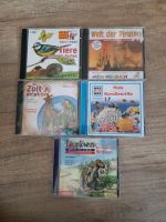 4 Kinder CDS Wissen Dinosaurier Haie Piraten Wikinger Hessen - Schwalmstadt Vorschau