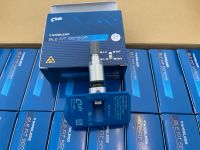 Reifendrucksensor TESLA Bluetooth BLE FIT SENSOR silber neu Nordrhein-Westfalen - Hennef (Sieg) Vorschau