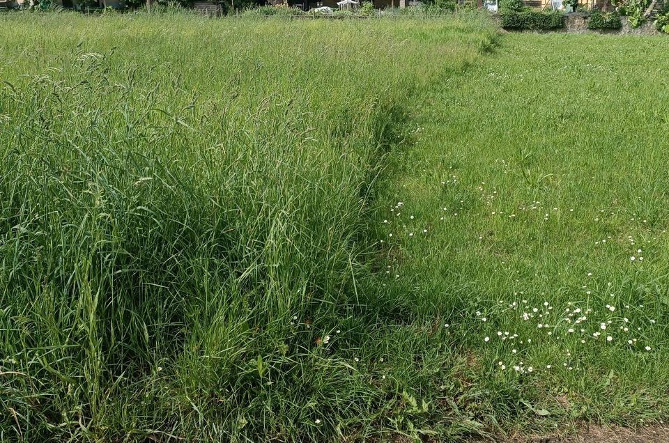 Gartengrundstück Freizeitgrundstück zu verpachten in Tauberbischofsheim