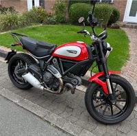 Ducati Scrambler 800 Icon wenig km TOP EURO3 Nordrhein-Westfalen - Beckum Vorschau