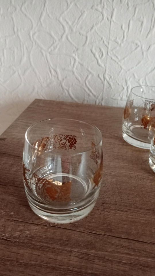 Whisky-Gläser in Stapelburg